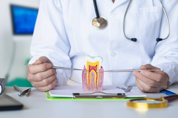 Best Emergency Dentist for Lost Fillings or Crowns in Jefferson, NC